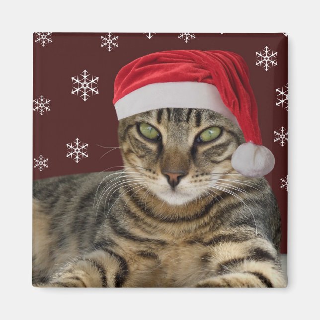 Santa Cat Magnet (Framsidan)