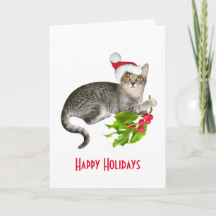 Santa Cat med Holly Helgdag Card Helgkort