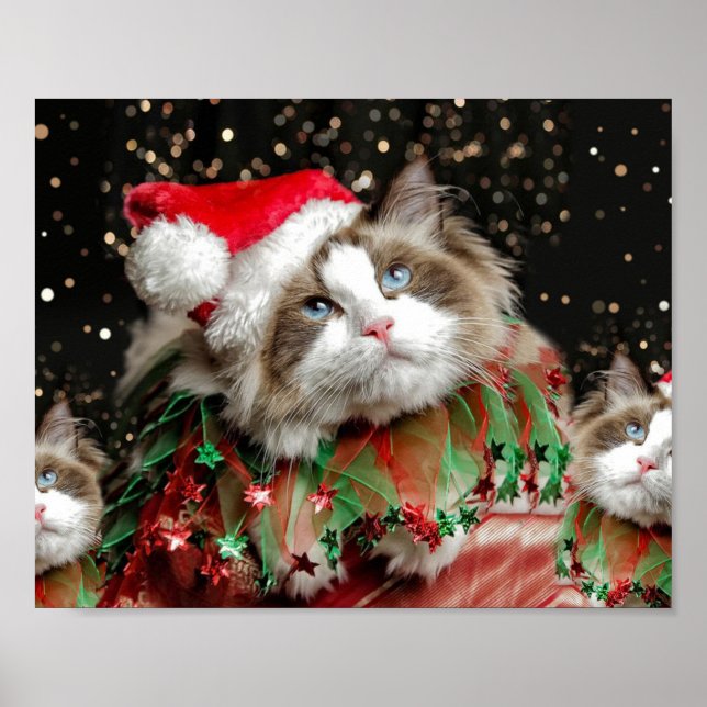 Santa Cat Poster (Framsidan)