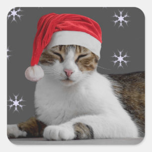 Santa Cat Stickers Fyrkantigt Klistermärke