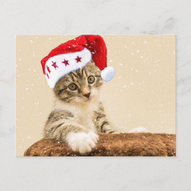 Santa Cat Vykort (Framsida)