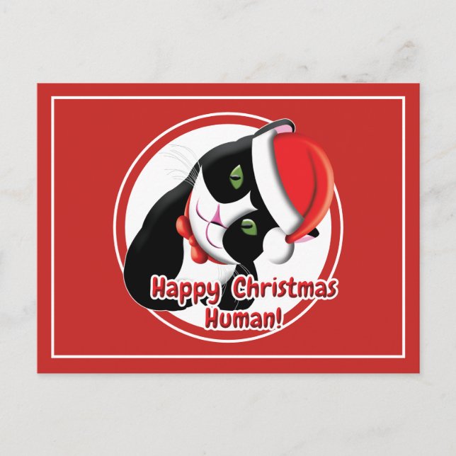 Santa Cat Vykort (Framsida)