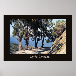 Santa Catalina affisch