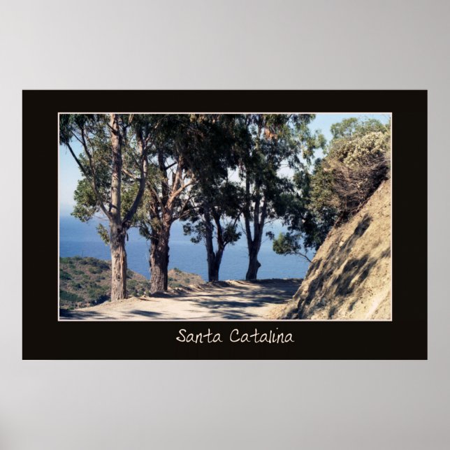 Santa Catalina affisch (Framsidan)