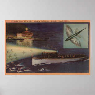 Santa Catalina ö, CA-kasino som flyger fisken Poster