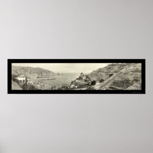 Santa Catalina öfoto 1914 Poster