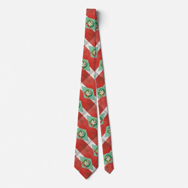 Santa Catarina Slips (Framsida)