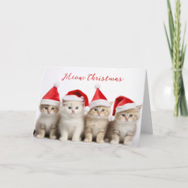 Santa Cats Kort