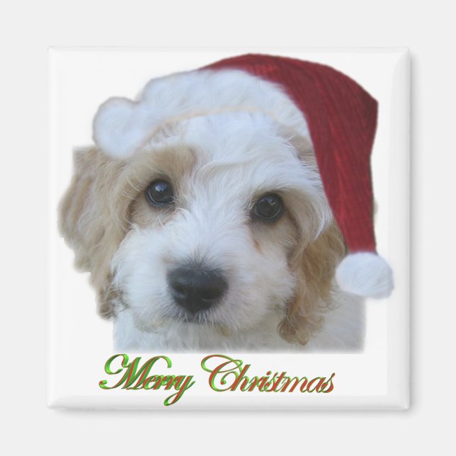 Santa Chase Magnet (Framsidan)