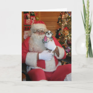 Santa & Chihuahua Helgkort
