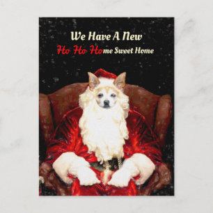 Santa Chihuahua Hund Red Funny Ny adress Flytta Vykort