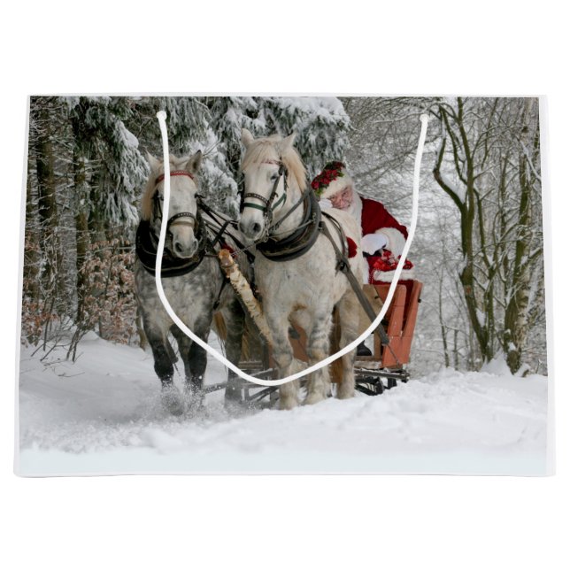Santa Claus rides in a Horse sleigh (Framsidan)