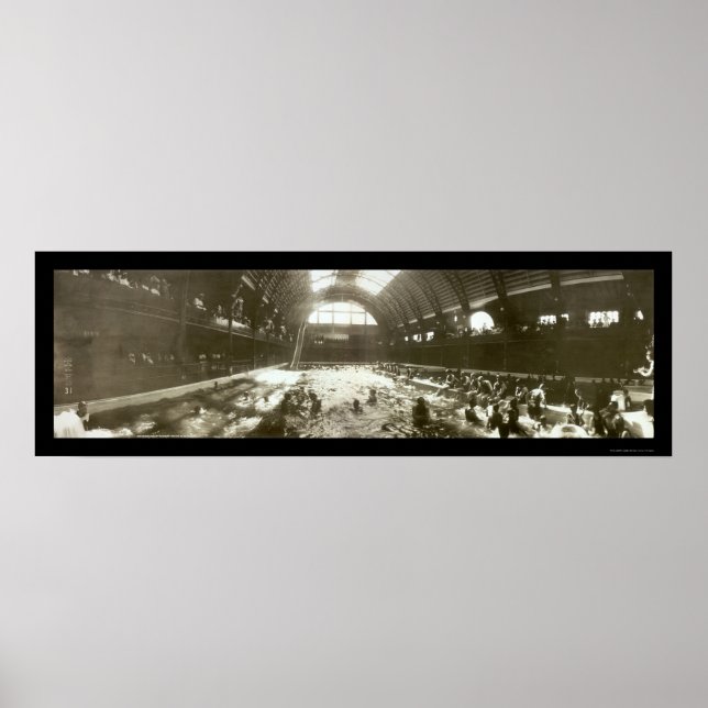 Santa Cruz CA Plunge Photo 1908 Poster (Framsidan)