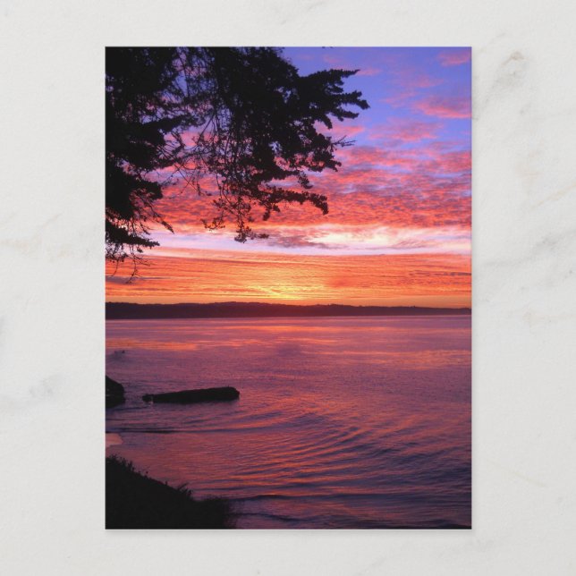 Santa Cruz, CA. Soluppgång Vykort (Framsida)