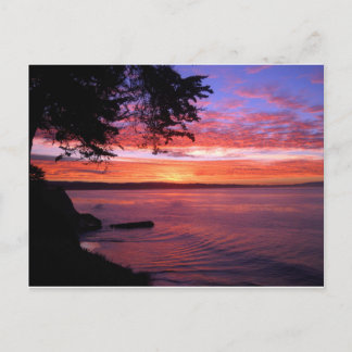 Santa Cruz, CA. Soluppgång Vykort