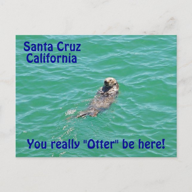 Santa Cruz California Otter Postcard Vykort (Framsida)