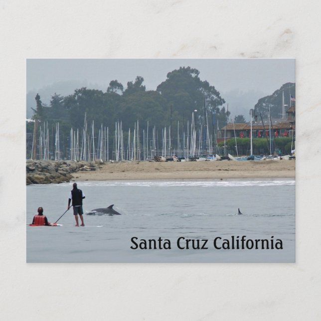 Santa Cruz California vycard Vykort (Framsida)