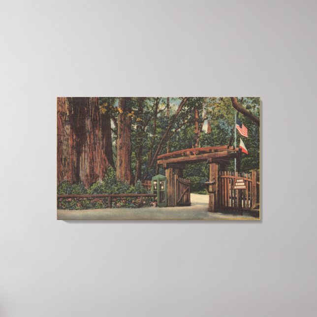 Santa Cruz County, CA Entrance to Big Träd Park Canvastryck (Framsida)