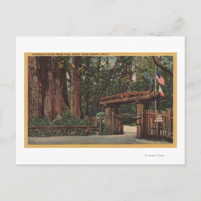 Santa Cruz County, CA Entrance to Big Träd Park Vykort (Framsida)