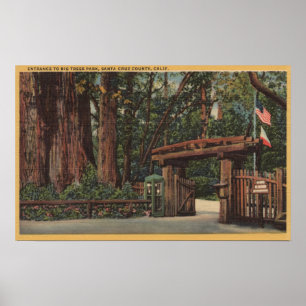 Santa Cruz County CA hänrycker till stora träd Poster