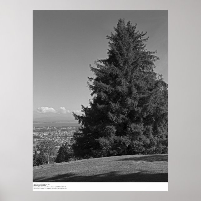 Santa Cruz från Campus, april 1967 Poster (Framsidan)