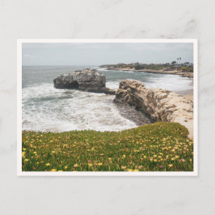 Santa Cruz Natural Bridges Kalifornien Vilda blomm Vykort