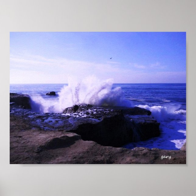 Santa Cruz Seashore Poster (Framsidan)
