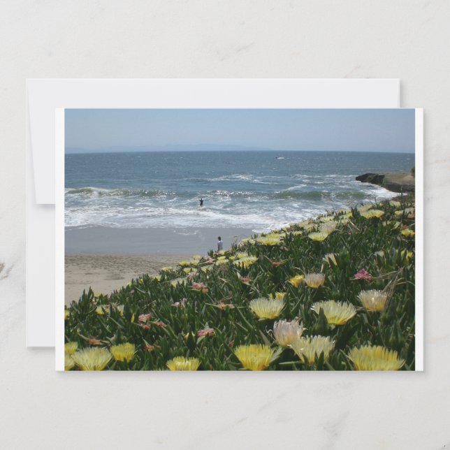 Santa Cruz-stränder (Framsida)