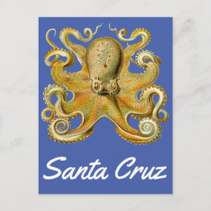 Santa Cruz vintage Octopus Vykort