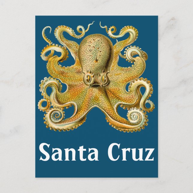 Santa Cruz vintage Octopus Vykort (Framsida)