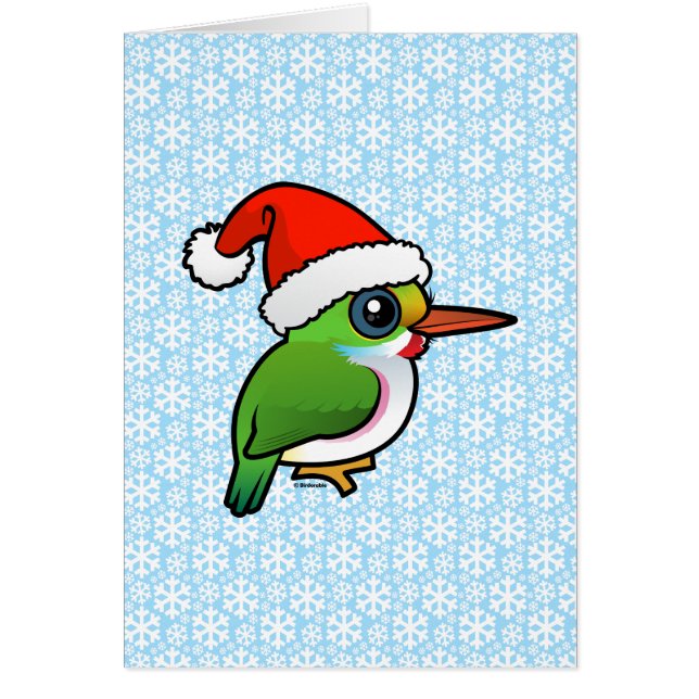 Santa Cuban Tody OBS Kort (Framsidan)