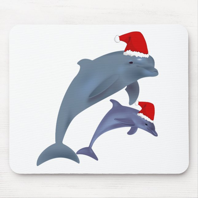 Santa Delphins Musmatta (Framsidan)