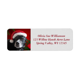 Santa Dog-Lab/Rott blandning med Pointsettia Returadress Etikett