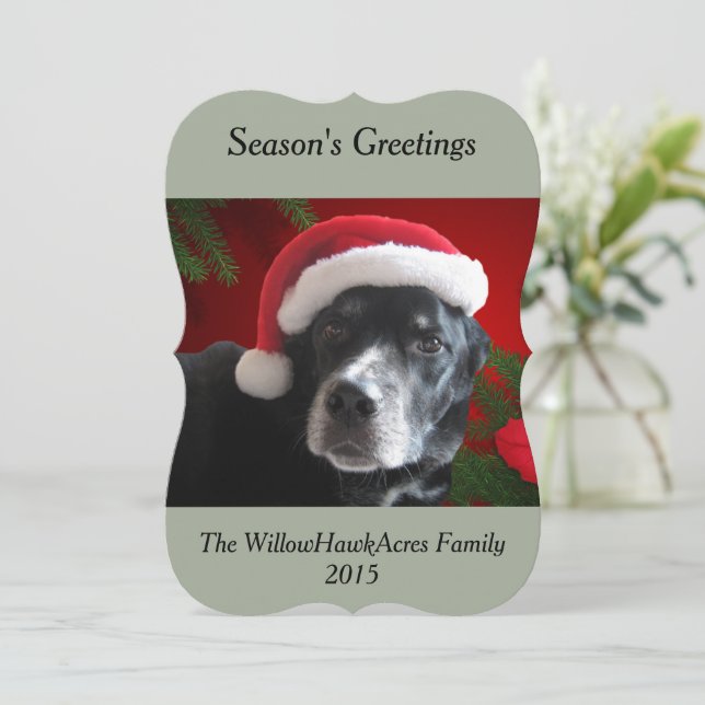 Santa Dog-Lab/Rottweiler med helgdagbakgrund Julkort (Stående Fram)
