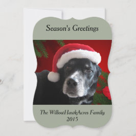 Santa Dog-Lab/Rottweiler med helgdagbakgrund Julkort