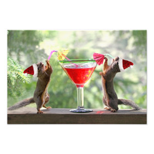 Santa ekorrar som dricker en coctail fototryck