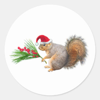 Santa-ekorrar Ständigt gröna dekaler Runt Klistermärke