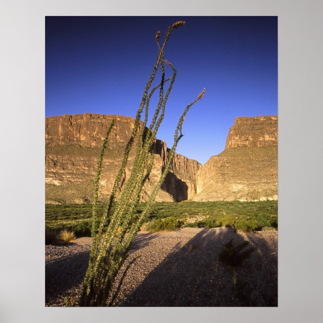 Santa Elena Canyon Poster (Framsidan)