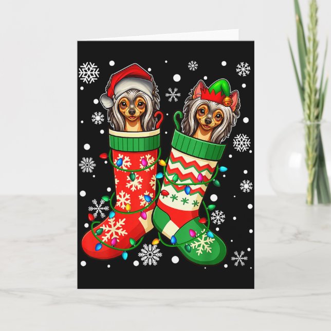 Santa Elf Chinese Crested Dog In Christmas Socks M Kort (Framsida)
