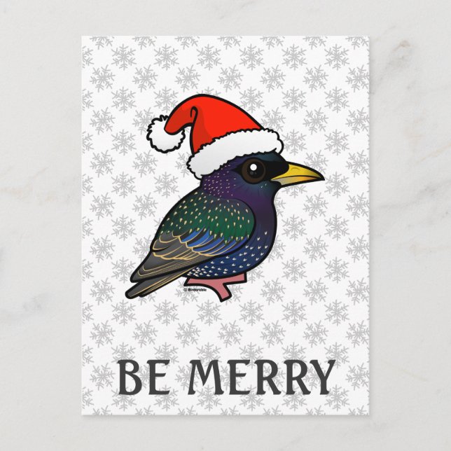 Santa European Starling Helg Vykort (Framsida)