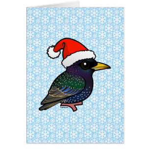 Santa European Starling OBS Kort