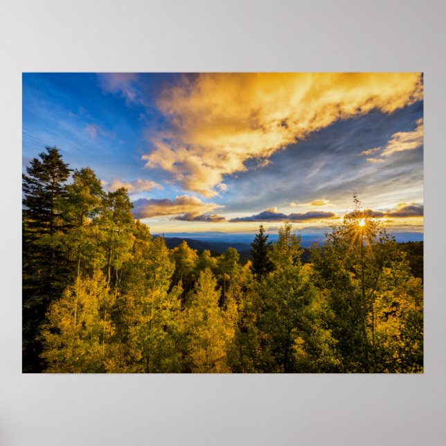Santa Fe National Forest vid solnedgång på hösten Poster (Framsidan)