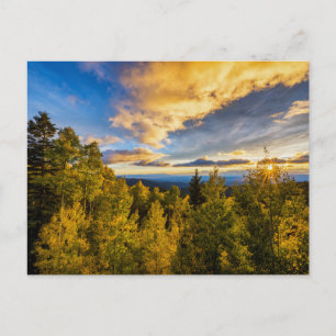 Santa Fe National Forest vid solnedgång på hösten Vykort