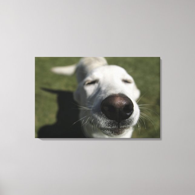 Santa Fe, New mexico Canvastryck (Framsida)