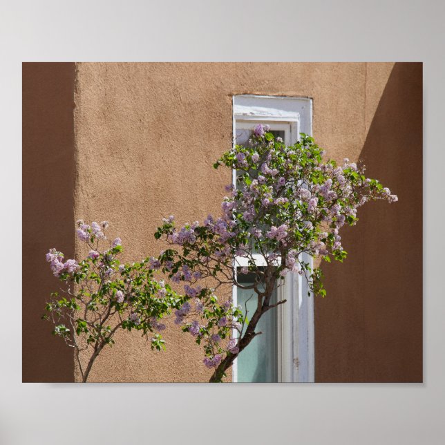 Santa Fe, New mexico, Lilacs Poster (Framsidan)