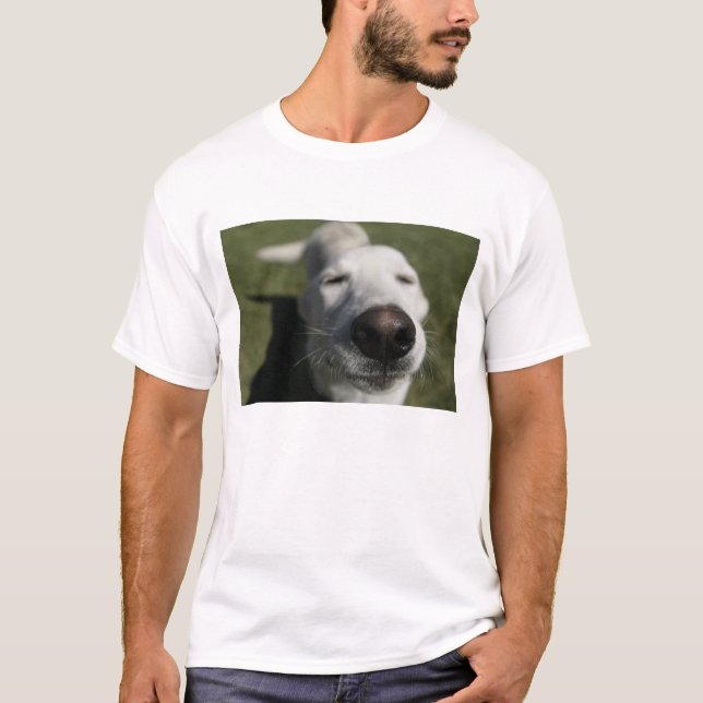 Santa Fe, New Mexico T Shirt (Framsida)