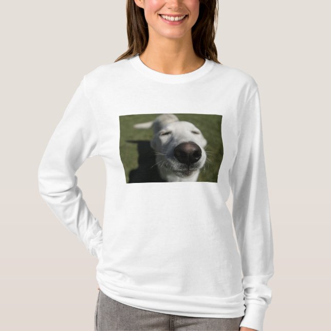Santa Fe, New Mexico Tee (Framsida)