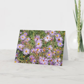 Santa Fe Wild Asters Kort