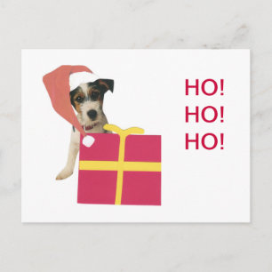 Santa för jackRussell Terrier hatt Helg Vykort