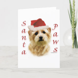 Santa för Norfolk Terrier tassar Helgkort